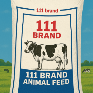 cropped file 0000000043a861fd80425db11ff17c4d min.png